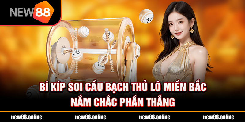 Bí kíp soi cầu bạch thủ lô miền Bắc nắm chắc phần thắng