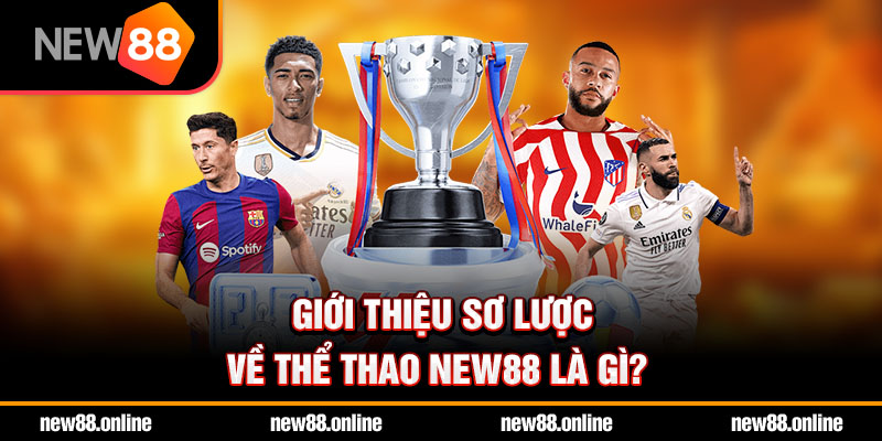 Giới thiệu sơ lược về thể thao NEW88 là gì?