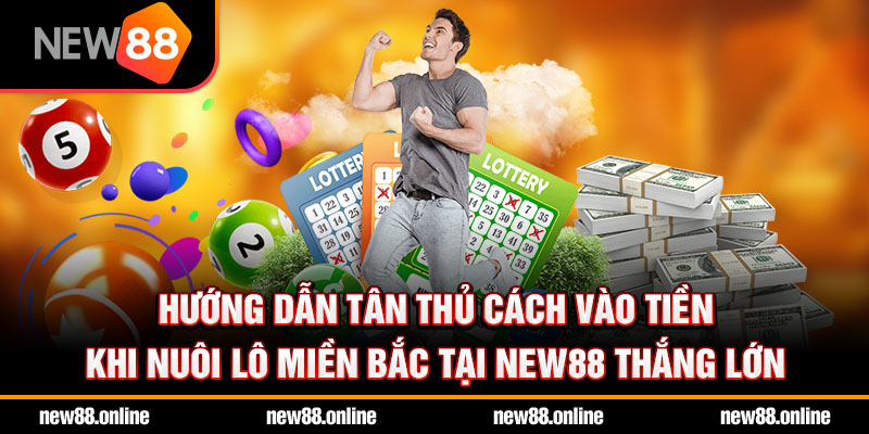 Hướng dẫn tân thủ cách vào tiền khi nuôi lô miền Bắc tại NEW88 thắng lớn
