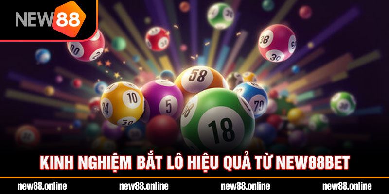 Kinh nghiệm bắt lô hiệu quả từ NEW88bet