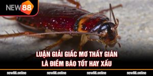 Luận giải giấc mơ thấy gián là điềm báo tốt hay xấu