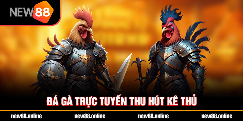 đá gà trực tuyến thu hút kê thủ
